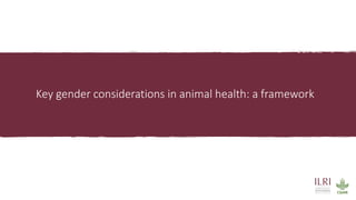 Gender considerations in livestock and animal health