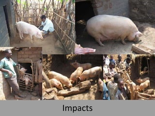 Working with women and men in agricultural market development: The missing link 