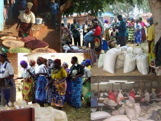 Working with women and men in agricultural market development: The missing link 
