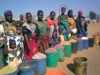 Working with women and men in agricultural market development: The missing link 