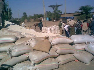 Working with women and men in agricultural market development: The missing link 