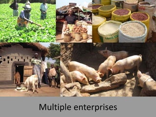 Working with women and men in agricultural market development: The missing link 