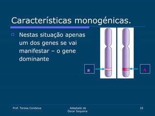 Características monogénicas. <ul><li>Nestas situação apenas um dos genes se vai manifestar – o gene dominante </li></ul>a A 