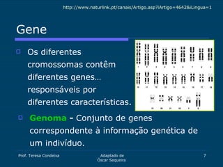 Gene <ul><li>Os diferentes cromossomas contêm diferentes genes… responsáveis por diferentes características. </li></ul><ul...