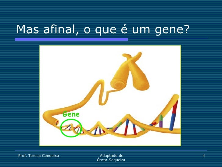 O Gene Que Só Se Expressa Quando Em Dose Dupla
