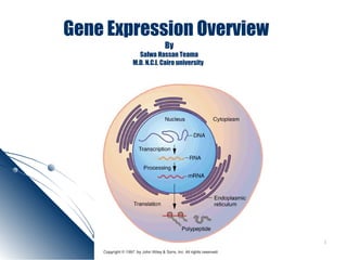 11
Gene Expression Overview
By
Salwa Hassan Teama
M.D. N.C.I. Cairo university
 