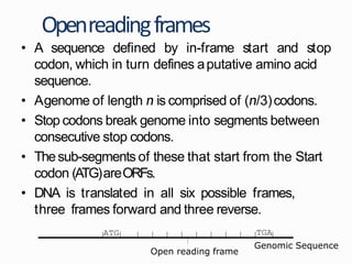 Gene prediction and expression | PPT