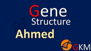 GKM
Gene
Ahmed
Structure
 