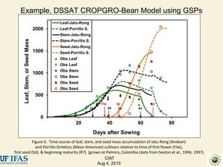 Advances in gene-based crop modeling
