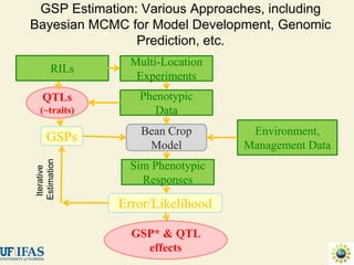 Advances in gene-based crop modeling