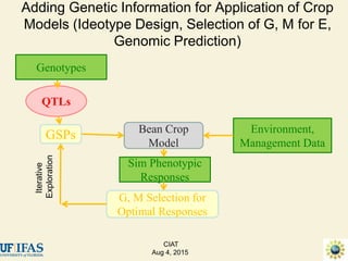 Advances in gene-based crop modeling