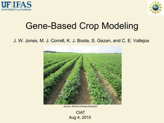 Advances in gene-based crop modeling