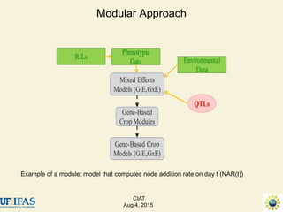 Advances in gene-based crop modeling
