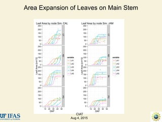Advances in gene-based crop modeling