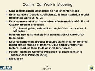 Advances in gene-based crop modeling