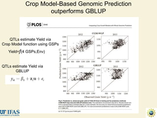 Advances in gene-based crop modeling