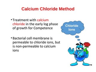Calcium Chloride Method
•Treatment with calcium
chloride in the early log phase
of growth for Competence
•Bacterial cell membrane is
permeable to chloride ions, but
is non-permeable to calcium
ions
Chloride
Ions
E.Coli
 