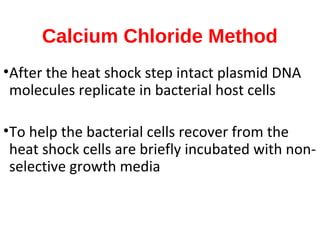 Calcium Chloride Method
•After the heat shock step intact plasmid DNA
molecules replicate in bacterial host cells
•To help the bacterial cells recover from the
heat shock cells are briefly incubated with non-
selective growth media
 