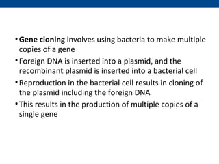 •Gene cloning involves using bacteria to make multiple
copies of a gene
•Foreign DNA is inserted into a plasmid, and the
recombinant plasmid is inserted into a bacterial cell
•Reproduction in the bacterial cell results in cloning of
the plasmid including the foreign DNA
•This results in the production of multiple copies of a
single gene
 
