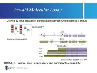 bcr-abl Molecular Assay Defined by initial creation of translocation between Chromosomes 9 and 22 BCR-ABL Fusion Gene is necessary and sufficient to cause CML  Mughal and Goldman 2006 Deininger et al.  Blood 96:3343 2000 