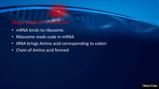 Major Steps Of Translation :
• mRNA binds to ribosome.
• Ribosome reads code in mRNA
• tRNA brings Amino acid corresponding to codon
• Chain of Amino acid formed
 