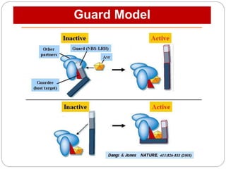 Guard Framework Gene for-gene hypothesis & its validty in the present scenario | PPTX