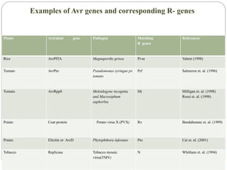 Gene for-gene hypothesis & its validty in the present scenario | PPTX