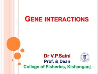 GENE INTERACTIONS
Dr V.P.Saini
Prof. & Dean
College of Fisheries, Kishanganj
 