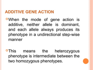 Additive Effects Genetics Gene-interactions presentation ppt lercvcturer.ppt