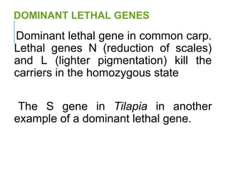 Gene-interactions notes for gene interactions gene types | PPT