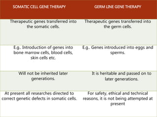 SOMATIC CELL GENE THERAPY GERM LINE GENE THERAPY
Therapeutic genes transferred into
the somatic cells.
Therapeutic genes transferred into
the germ cells.
E.g.. Introduction of genes into
bone marrow cells, blood cells,
skin cells etc.
E.g.. Genes introduced into eggs and
sperms.
Will not be inherited later
generations.
It is heritable and passed on to
later generations.
At present all researches directed to
correct genetic defects in somatic cells.
For safety, ethical and technical
reasons, it is not being attempted at
present
 