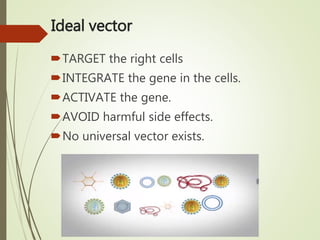 Ideal vector
TARGET the right cells
INTEGRATE the gene in the cells.
ACTIVATE the gene.
AVOID harmful side effects.
No universal vector exists.
 