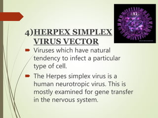4)HERPEX SIMPLEX
VIRUS VECTOR
 Viruses which have natural
tendency to infect a particular
type of cell.
 The Herpes simplex virus is a
human neurotropic virus. This is
mostly examined for gene transfer
in the nervous system.
 