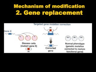 Gene therapy introduction | PDF