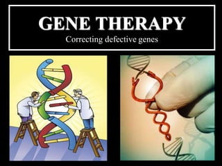 GENE THERAPY
Correcting defective genes
 