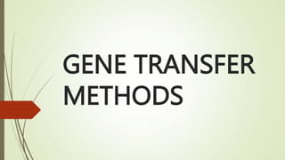 GENE TRANSFER
METHODS
 