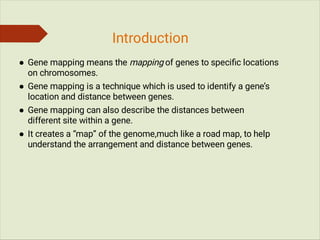 Gene mapping and it's type ( genetic mapping and physical mapping) | PDF