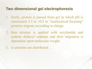 1. firstly, protein is passed from gel in which pH is
maintained 3.5 to 10.5 in “isoelectrical focusing”
proteins migrate according to charge.
2. then mixture is applied with acrylamide and
sodium dodecyl sulphate and their migration is
dependent upon molecular weight.
3. so proteins are distributed.
 