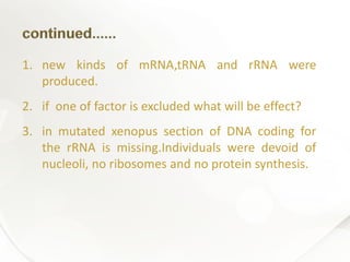 1. new kinds of mRNA,tRNA and rRNA were
produced.
2. if one of factor is excluded what will be effect?
3. in mutated xenopus section of DNA coding for
the rRNA is missing.Individuals were devoid of
nucleoli, no ribosomes and no protein synthesis.
 