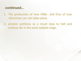 1. The production of new rRNA and thus of new
ribosomes can not takes place.
2. protein synthesis as a result slow to halt and
embryo die in the early tadpole stage.
 