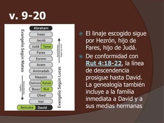 v. 9-20
 El linaje escogido sigue
por Hezrón, hijo de
Fares, hijo de Judá.
 De conformidad con
Rut 4:18-22, la línea
de descendencia
prosigue hasta David.
La genealogía también
incluye a la familia
inmediata a David y a
sus medias hermanas
 