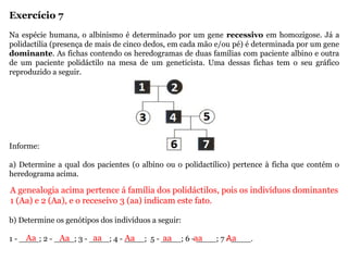 Exercício 7
Na espécie humana, o albinismo é determinado por um gene recessivo em homozigose. Já a
polidactilia (presença de mais de cinco dedos, em cada mão e/ou pé) é determinada por um gene
dominante. As fichas contendo os heredogramas de duas famílias com paciente albino e outra
de um paciente polidáctilo na mesa de um geneticista. Uma dessas fichas tem o seu gráfico
reproduzido a seguir.
Informe:
a) Determine a qual dos pacientes (o albino ou o polidactílico) pertence à ficha que contém o
heredograma acima.
b) Determine os genótipos dos indivíduos a seguir:
1 - ____; 2 - ____; 3 - ____; 4 - ____; 5 - ____; 6 - ____; 7 - ____.
A genealogia acima pertence á família dos polidáctilos, pois os indivíduos dominantes
1 (Aa) e 2 (Aa), e o receseivo 3 (aa) indicam este fato.
Aa Aa aa Aa aa aa Aa
 