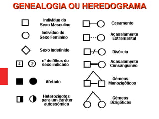 GENEALOGIA OU HEREDOGRAMAGENEALOGIA OU HEREDOGRAMA
 