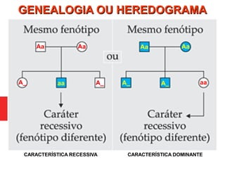 Aa Aa
aaA_ A_
CARACTERÍSTICA RECESSIVA
Aa Aa
aaA_ A_
CARACTERÍSTICA DOMINANTE
GENEALOGIA OU HEREDOGRAMAGENEALOGIA OU HEREDOGRAMA
 