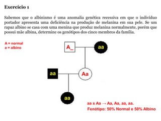 Exercício 1
Sabemos que o albinismo é uma anomalia genética recessiva em que o indivíduo
portador apresenta uma deficiência na produção de melanina em sua pele. Se um
rapaz albino se casa com uma menina que produz melanina normalmente, porém que
possui mãe albina, determine os genótipos dos cinco membros da família.
A = normal
a = albino
aa
aa
aa
A_
Aa
aa x Aa → Aa, Aa, aa, aa.
Fenótipo: 50% Normal e 50% Albino
 