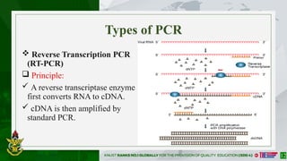 GENE_AMPLIFICATION_PROCESSES-ADV_BIOTECH_ FINAL SLIDES 2682025[1].pptx