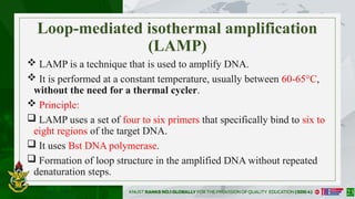 GENE_AMPLIFICATION_PROCESSES-ADV_BIOTECH_ FINAL SLIDES 2682025[1].pptx