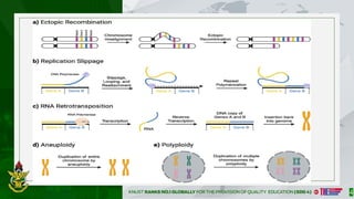 GENE_AMPLIFICATION_PROCESSES-ADV_BIOTECH_ FINAL SLIDES 2682025[1].pptx