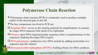 GENE_AMPLIFICATION_PROCESSES-ADV_BIOTECH_ FINAL SLIDES 2682025[1].pptx