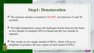 GENE_AMPLIFICATION_PROCESSES-ADV_BIOTECH_ FINAL SLIDES 2682025[1].pptx